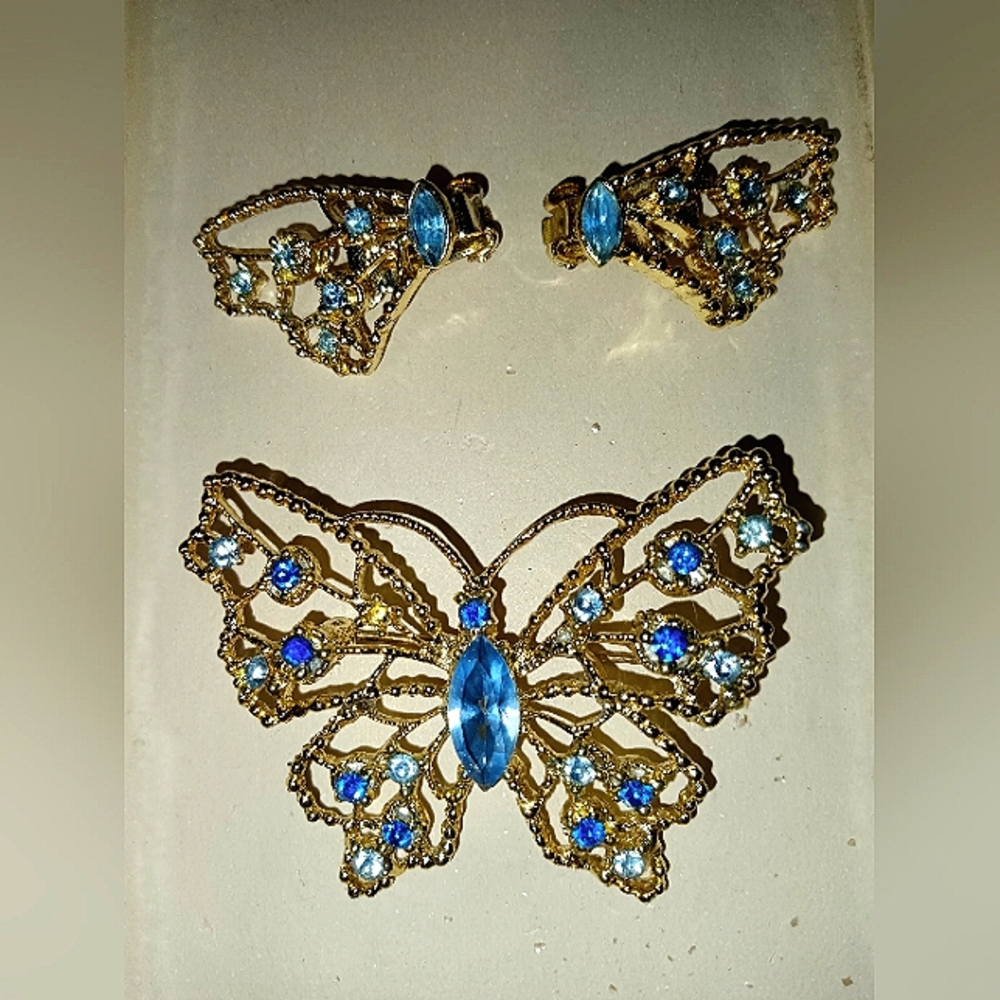 Butterfly Brooch & Earrings